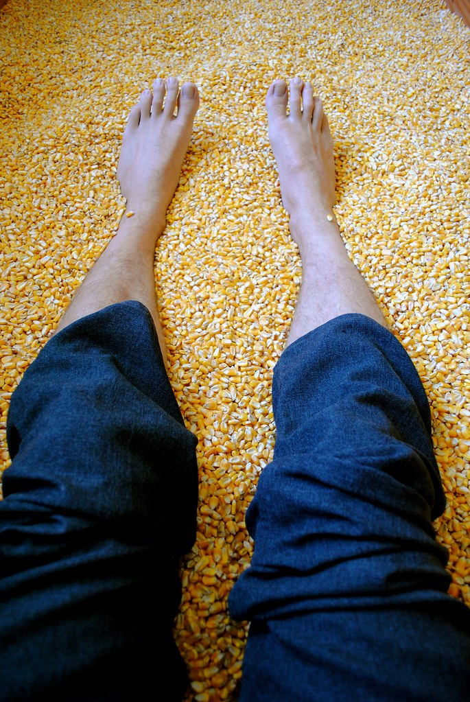 The corn bed